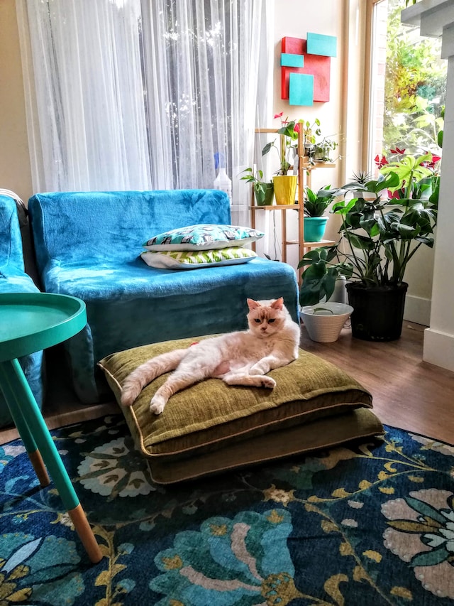 How to Mix and Match Different Styles in Western Home Decor